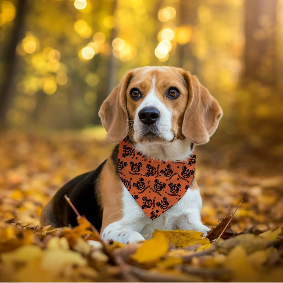 دستمال گردن حیوانات خانگی طرح هالووین، دستمال گردن سگ مثلثی راحت و قابل تنظیم با طرح کدو تنبل کارتونی و ستاره مناسب سگ های کوچک و متوسط ​​دختر و پسر