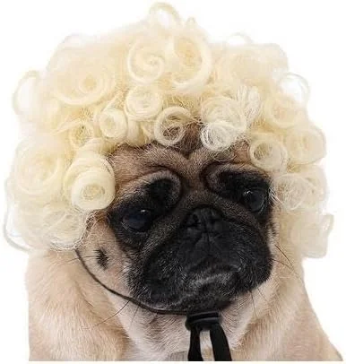 کلاه گیس خنده دار سگ و گربه برای سگ های کوچک، متوسط و بزرگ، لباس مهمانی کریسمس کلاه گیس خنده دار سگ و گربه برای سگ های کوچک، متوسط و بزرگ، لباس مهمانی کریسمس