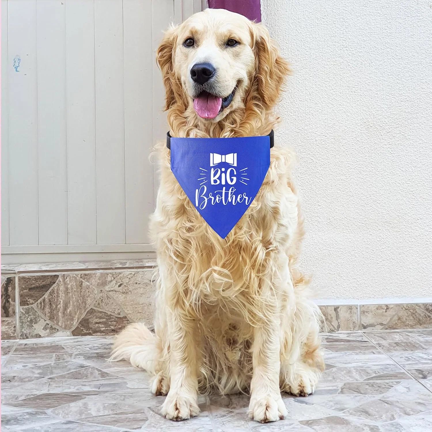 دستمال گردن سگ HDGDT طرح "برادر بزرگتر"، قابل تنظیم، سگک رهاسازی سریع، مشکی، بزرگ