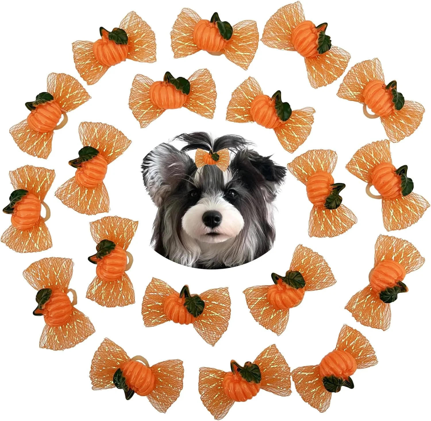 20 عدد پاپیون موی سگ و گربه طرح هالووین، لوازم جانبی مو با نگین و کش مو 20 عدد پاپیون موی سگ و گربه طرح هالووین، لوازم جانبی مو با نگین و کش مو