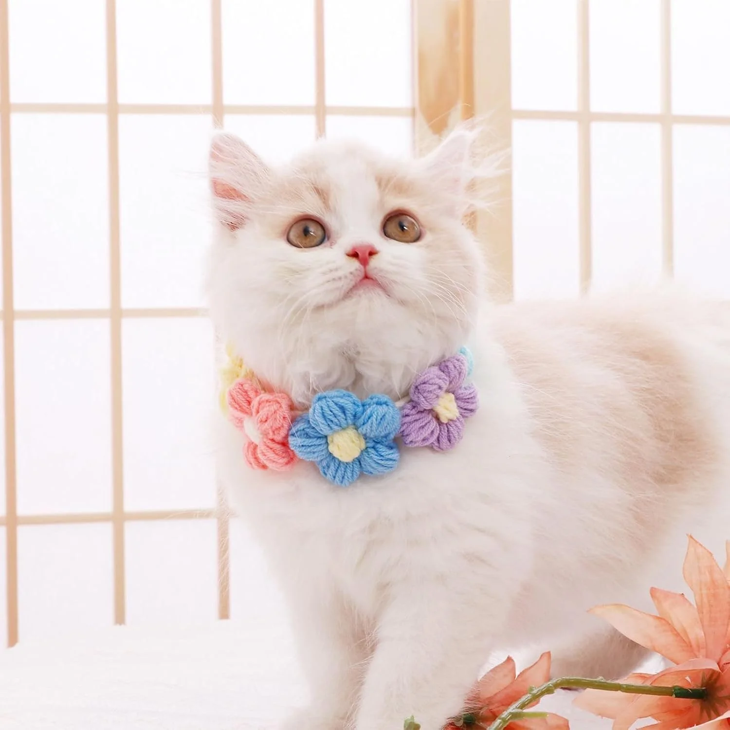 لباس سگ و گربه بافتنی دست ساز Hjvvr طرح گل، قلاده گربه رنگ ماکارون زیبا