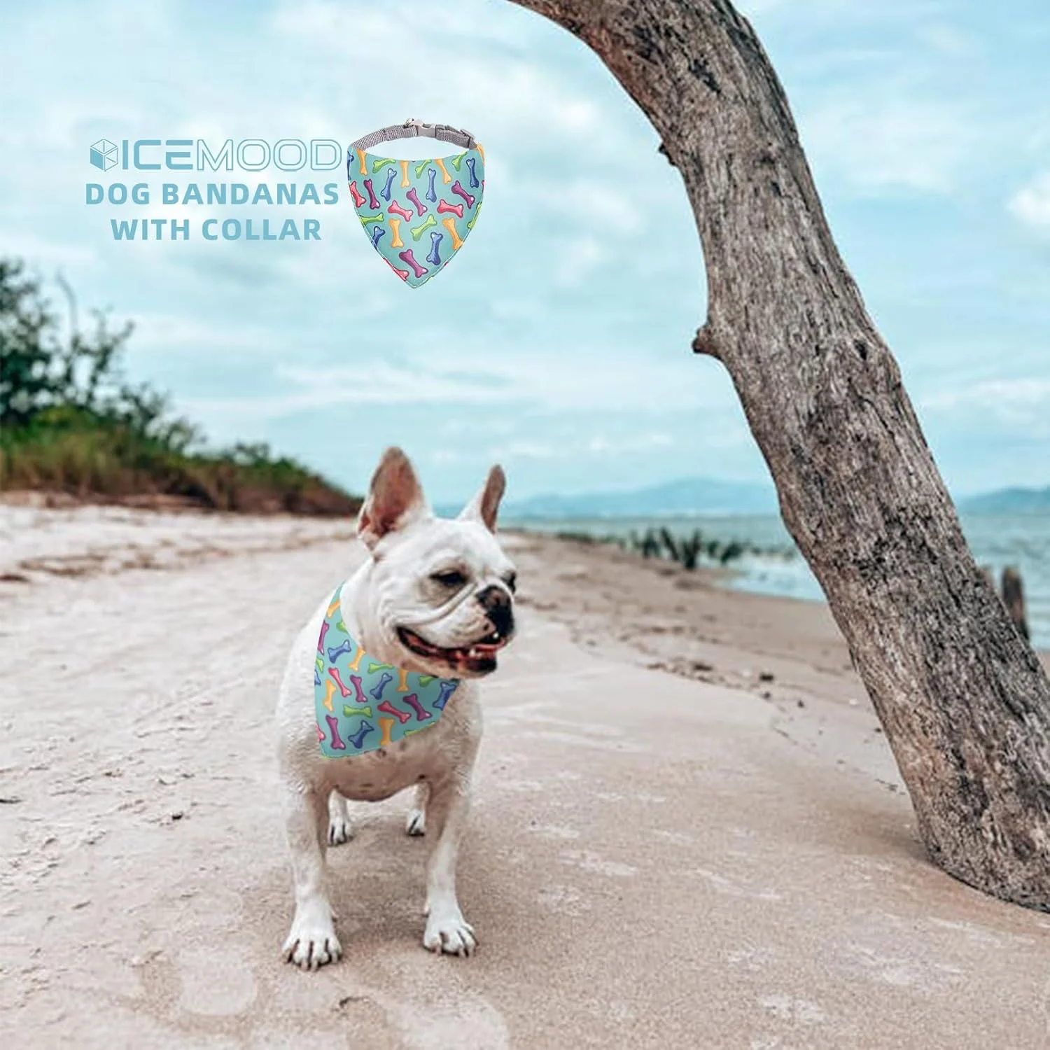 قلاده سگ ICEMOOD با دستمال گردن برای حیوانات خانگی کوچک، 4-6 کیلوگرم، شال حیوانات خانگی با طرح های جدید، رنگ استخوان، متوسط