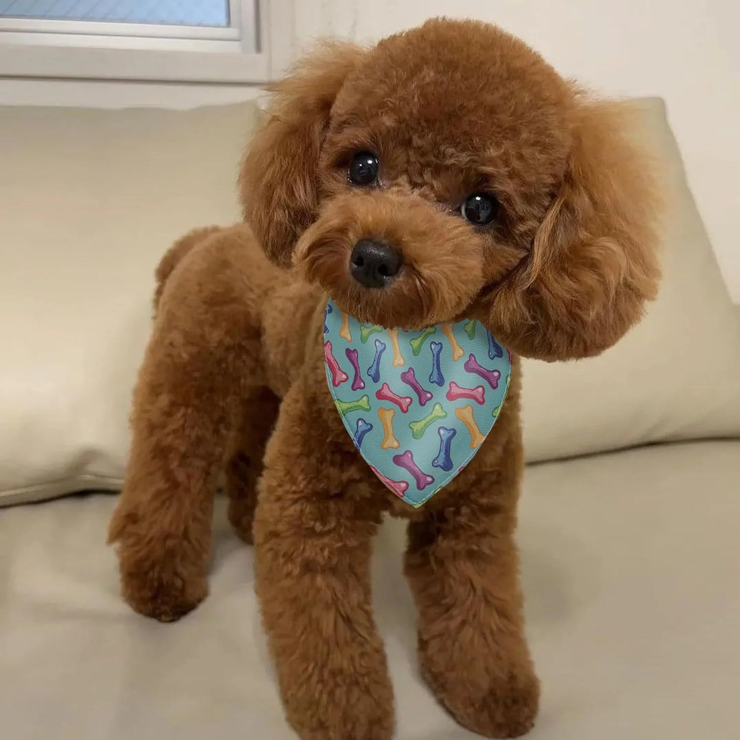 قلاده سگ ICEMOOD با دستمال گردن برای حیوانات خانگی کوچک، 4-6 کیلوگرم، شال حیوانات خانگی با طرح های جدید، رنگ استخوان، متوسط