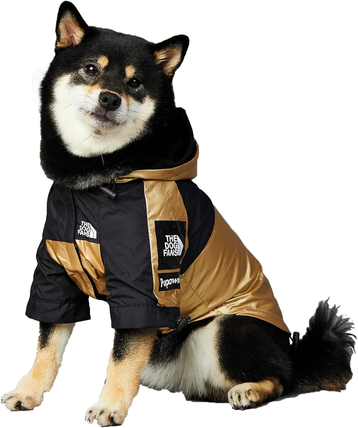 لباس سگ Jzswiepa، ژاکت کلاه دار شیک برای سگ ها و گربه ها، لباس سبک وزن ضد آب، بادگیر بیرونی کوچک متوسط بزرگ