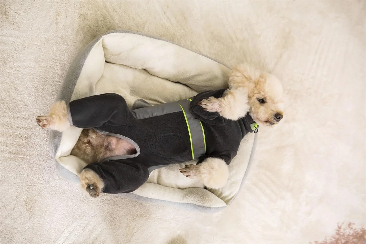 جامپسوت گرم سگ کوچک، لباس سرهمی پشمی نرم برای توله سگ با حلقه D و نوارهای بازتابنده، کت های آستین بلند سگ برای هوای سرد برای سگ های کوچک و متوسط (خاکستری تیره، S)