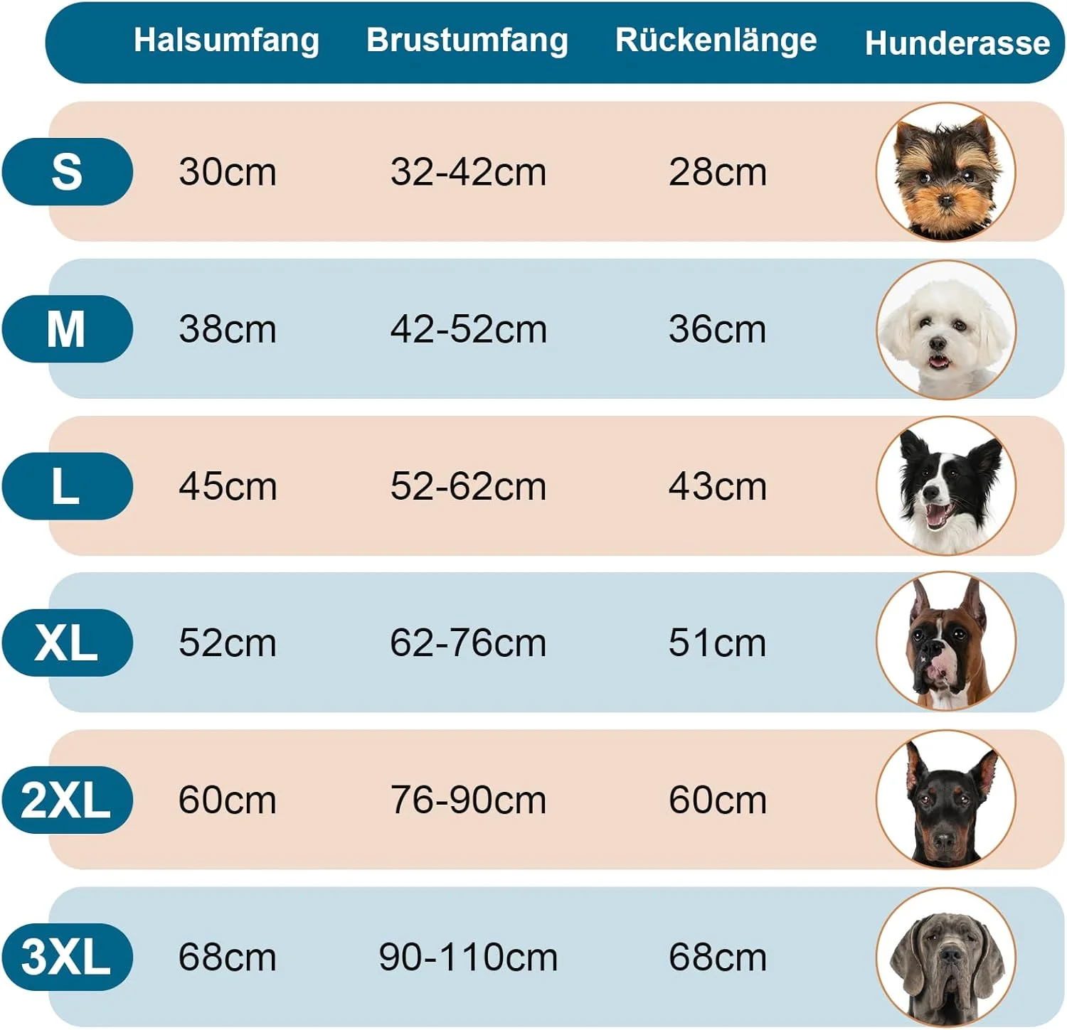 کت سگ سایز S، کت زمستانی سگ با یقه بلند، کت زمستانی سگ برای سگ های کوچک، ژاکت سگ برای هوای سرد، ژاکت گرم سگ با هارنس برای اشناوزر مینیاتوری، بازی در برف، آبی، S