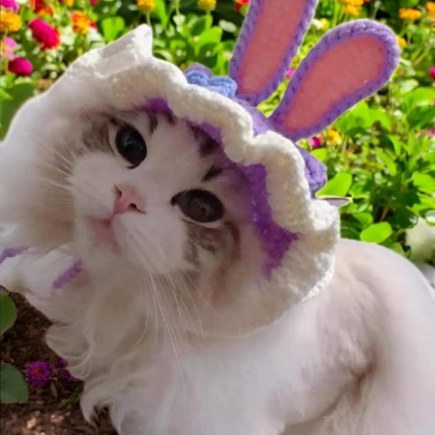 کلاه بافتنی بامزه برای گربه، کلاه های خرگوشی خنده دار قلاب بافی برای گربه ها، سگ کوچک، خرگوش، لباس گربه خانگی برای جشن تولد، هالووین، لوازم جانبی لباس گربه، 2 عدد (خرگوش، ببر)