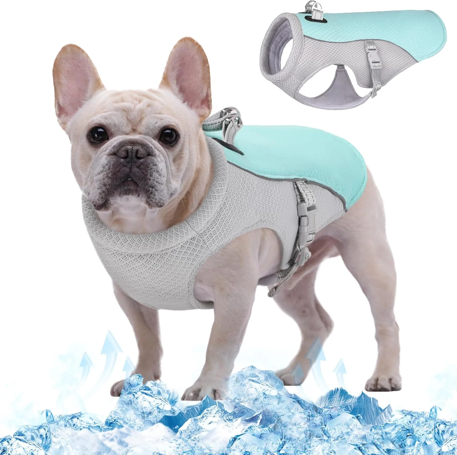 جلیقه خنک کننده سگ Kuoser، کت خنک کننده تبخیری برای سگ ها، ژاکت خنک کننده تنفسی حیوانات خانگی، جلیقه خنک کننده سگ ضد آفتاب برای فعالیت، آبی جلیقه خنک کننده سگ Kuoser، کت خنک کننده تبخیری برای سگ ها، ژاکت خنک کننده تنفسی حیوانات خانگی، جلیقه خنک کننده سگ ضد آفتاب برای فعالیت، آبی