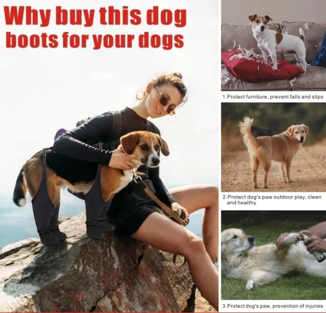 کفش سگ بند دار KWSLIN، کفش محافظ پای سگ، کفش های ساپورت قابل تنظیم حیوانات خانگی، چکمه های ضد لغزش ضد آب سگ برای پیاده روی در فضای باز در باران و برف (L) کفش سگ بند دار KWSLIN، کفش محافظ پای سگ، کفش های ساپورت قابل تنظیم حیوانات خانگی، چکمه های ضد لغزش ضد آب سگ برای پیاده روی در فضای باز در باران و برف (L)