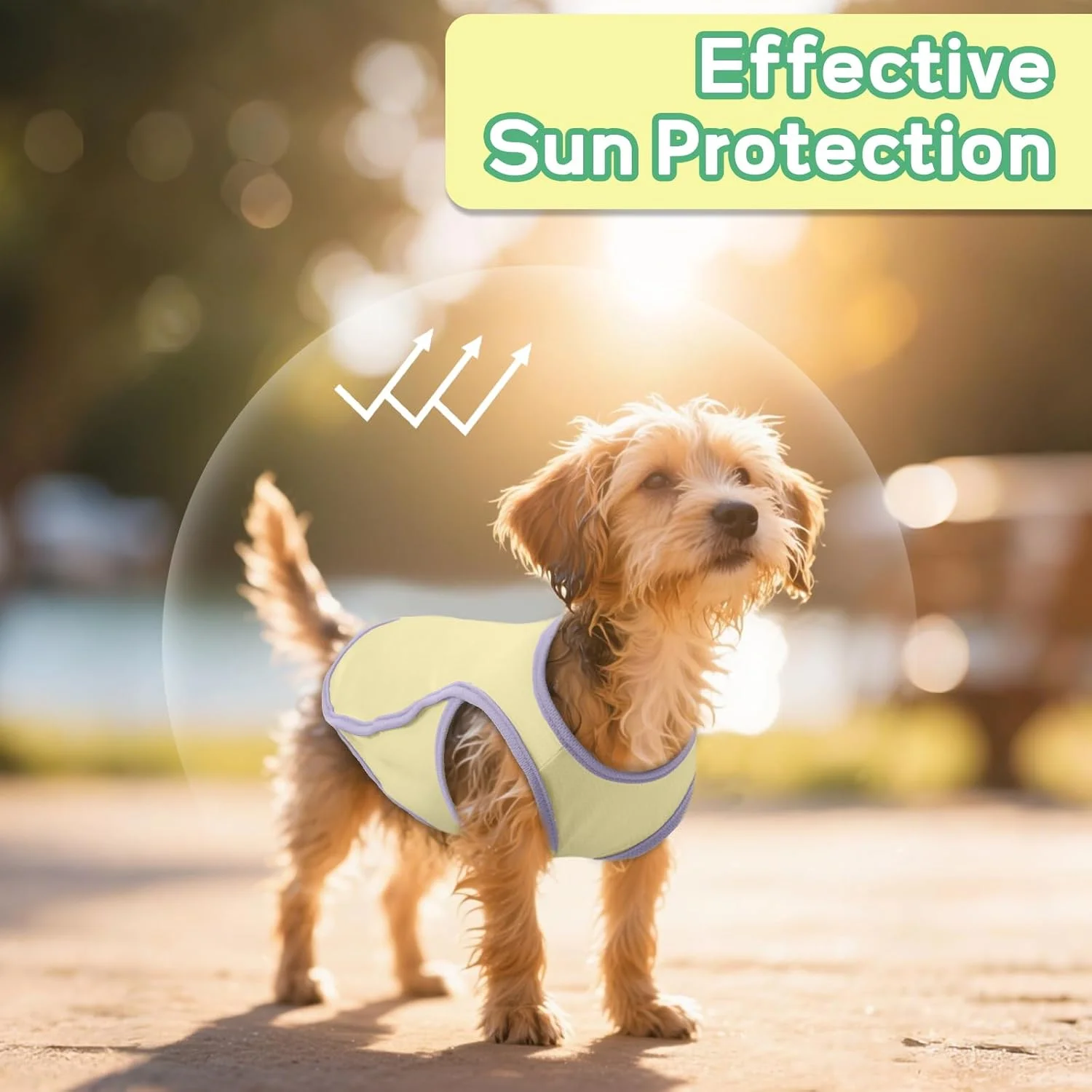 ست 2 عددی تیشرت سگ خنک کننده، جلیقه خنک کننده حیوانات خانگی، تیشرت محافظ آفتاب نرم و تنفسی توله سگ، لباس های سبک وزن تابستانی، تاپ بدون آستین برای سگ ها، زرد و سبز سایز M ست 2 عددی تیشرت سگ خنک کننده، جلیقه خنک کننده حیوانات خانگی، تیشرت محافظ آفتاب نرم و تنفسی توله سگ، لباس های سبک وزن تابستانی، تاپ بدون آستین برای سگ ها، زرد و سبز سایز M