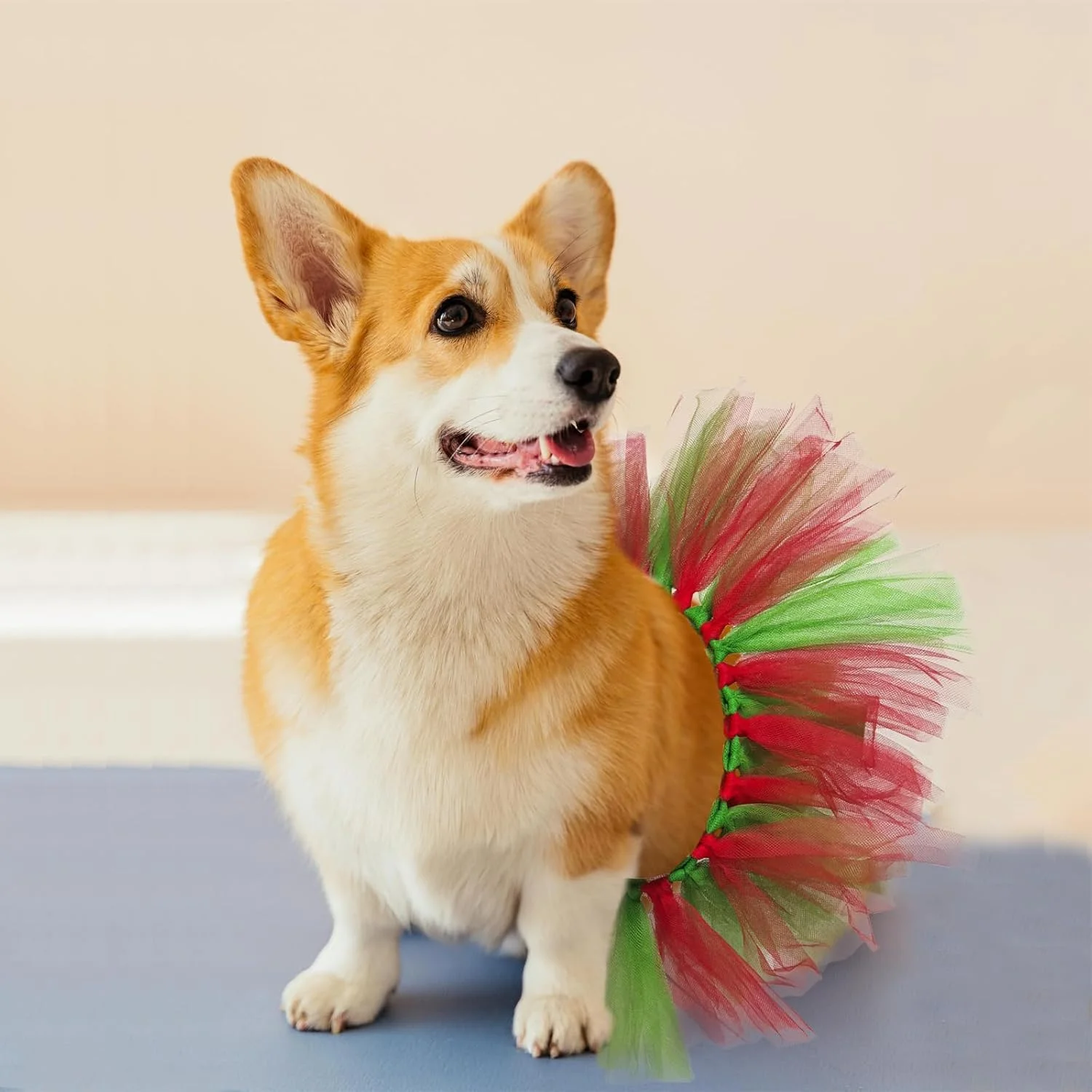 دامن توتو سگ کریسمس LERTREEUK، لباس توری و گیپور سبز و قرمز برای مهمانی کریسمس و لباس های فانتزی دامن توتو سگ کریسمس LERTREEUK، لباس توری و گیپور سبز و قرمز برای مهمانی کریسمس و لباس های فانتزی