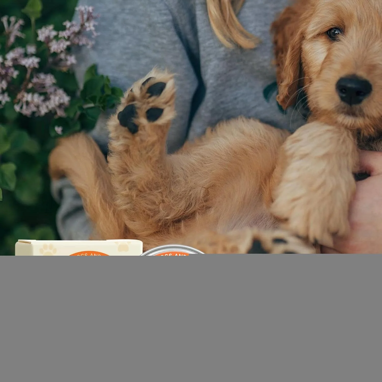 مرهم پد پنجه سگ، محافظ پنجه ایمن برای لیسیدن سگ و گربه، لوسیون 30 گرمی برای پنجه های خشک و آسیب دیده و بینی های خشک، مراقبت از حیوانات خانگی مناسب سفر، کمپینگ، پیاده روی، ساحل و فضای باز مرهم پد پنجه سگ، محافظ پنجه ایمن برای لیسیدن سگ و گربه، لوسیون 30 گرمی برای پنجه های خشک و آسیب دیده و بینی های خشک، مراقبت از حیوانات خانگی مناسب سفر، کمپینگ، پیاده روی، ساحل و فضای باز