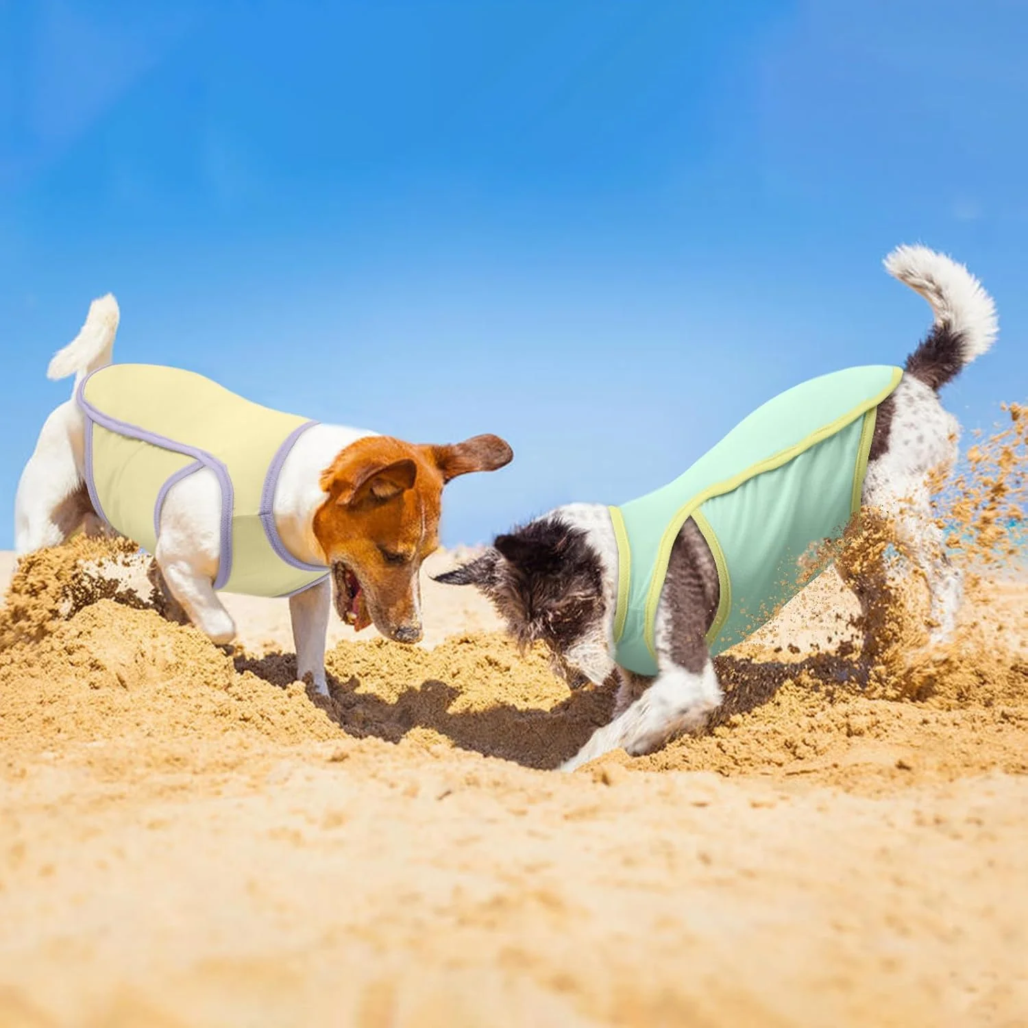 ست 2 عددی تیشرت سگ خنک کننده، جلیقه خنک کننده حیوانات خانگی، تیشرت محافظ آفتاب نرم و تنفسی توله سگ، لباس های سبک وزن تابستانی، تاپ بدون آستین برای سگ ها، زرد و سبز سایز M ست 2 عددی تیشرت سگ خنک کننده، جلیقه خنک کننده حیوانات خانگی، تیشرت محافظ آفتاب نرم و تنفسی توله سگ، لباس های سبک وزن تابستانی، تاپ بدون آستین برای سگ ها، زرد و سبز سایز M