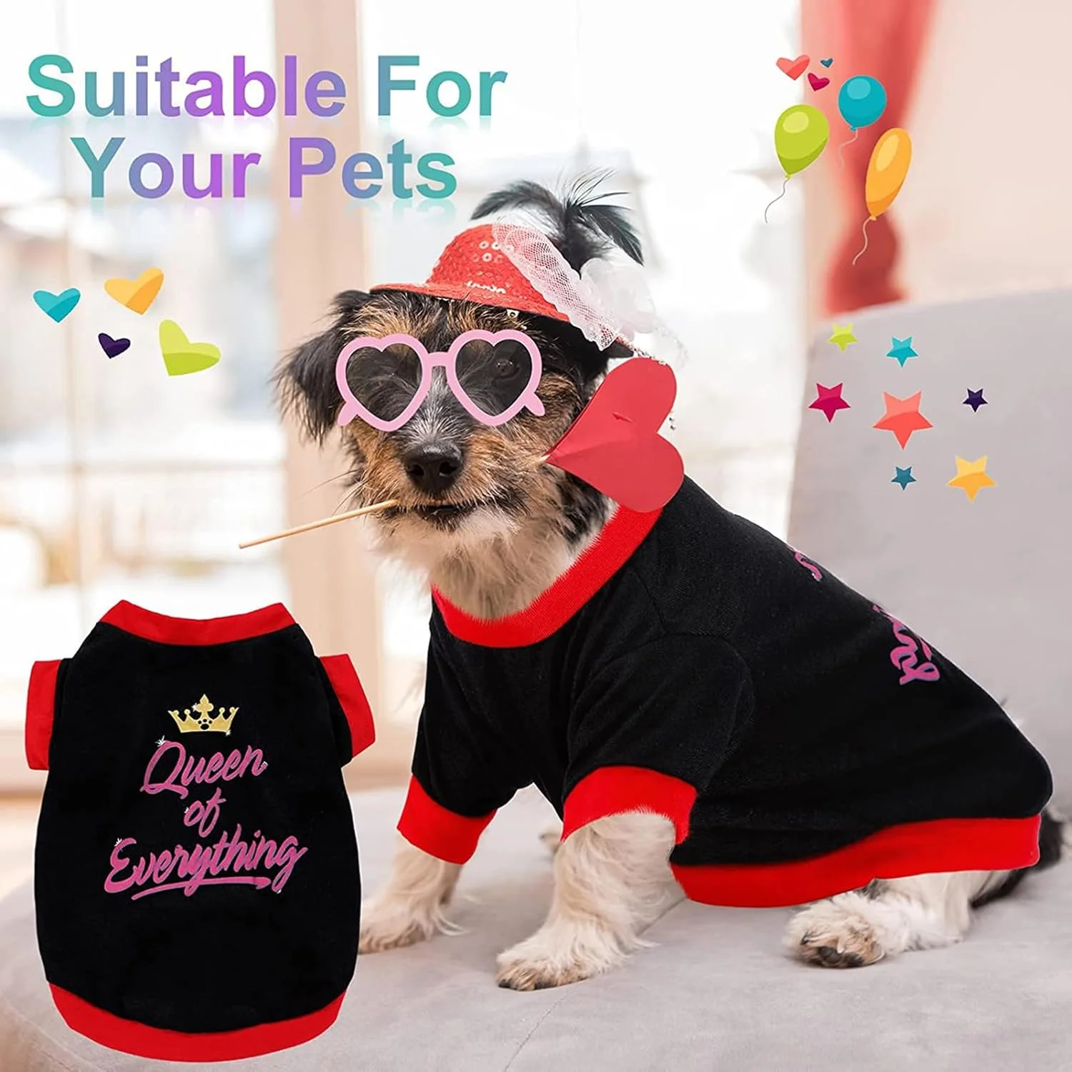 ست 5 عددی تیشرت سگ با طرح های چاپی و حروف بامزه، لباس خنک تابستانی توله سگ، لباس تنفسی و نرم برای گربه و سگ (سایز مدیوم) ست 5 عددی تیشرت سگ با طرح های چاپی و حروف بامزه، لباس خنک تابستانی توله سگ، لباس تنفسی و نرم برای گربه و سگ (سایز مدیوم)