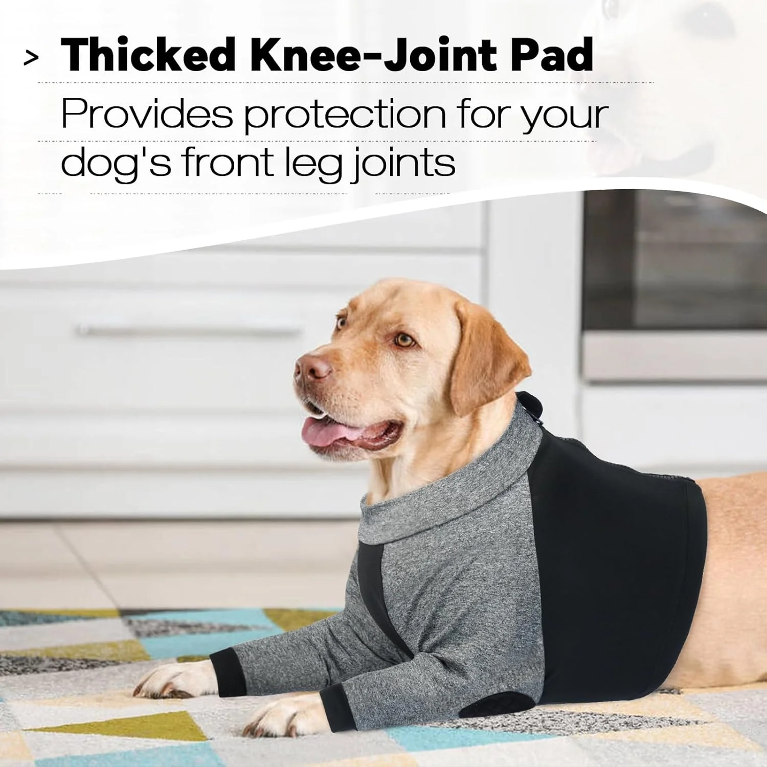 لباس ریکاوری سگ LeLePet برای پاهای جلویی برای جلوگیری از لیسیدن لباس ریکاوری سگ LeLePet برای پاهای جلویی برای جلوگیری از لیسیدن