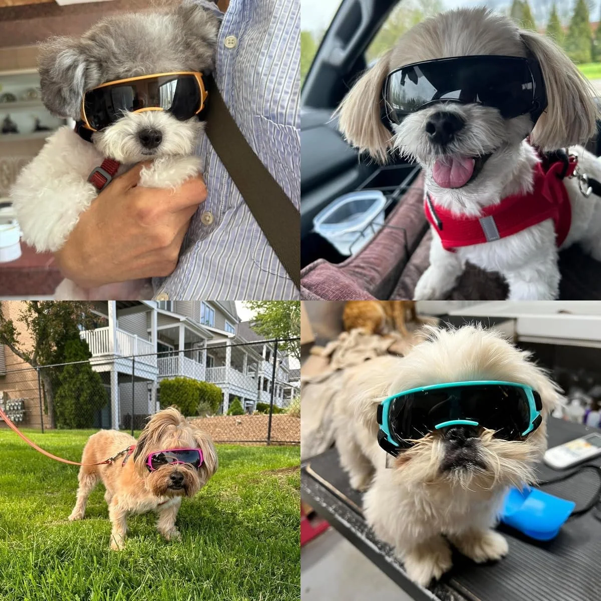 عینک محافظ سگ LESYPET مناسب نژادهای کوچک، عینک آفتابی ضد اشعه ماوراء بنفش با پد فومی، عینک ضد باد سگ های کوچک با بند قابل تنظیم برای رانندگی، صورتی عینک محافظ سگ LESYPET مناسب نژادهای کوچک، عینک آفتابی ضد اشعه ماوراء بنفش با پد فومی، عینک ضد باد سگ های کوچک با بند قابل تنظیم برای رانندگی، صورتی