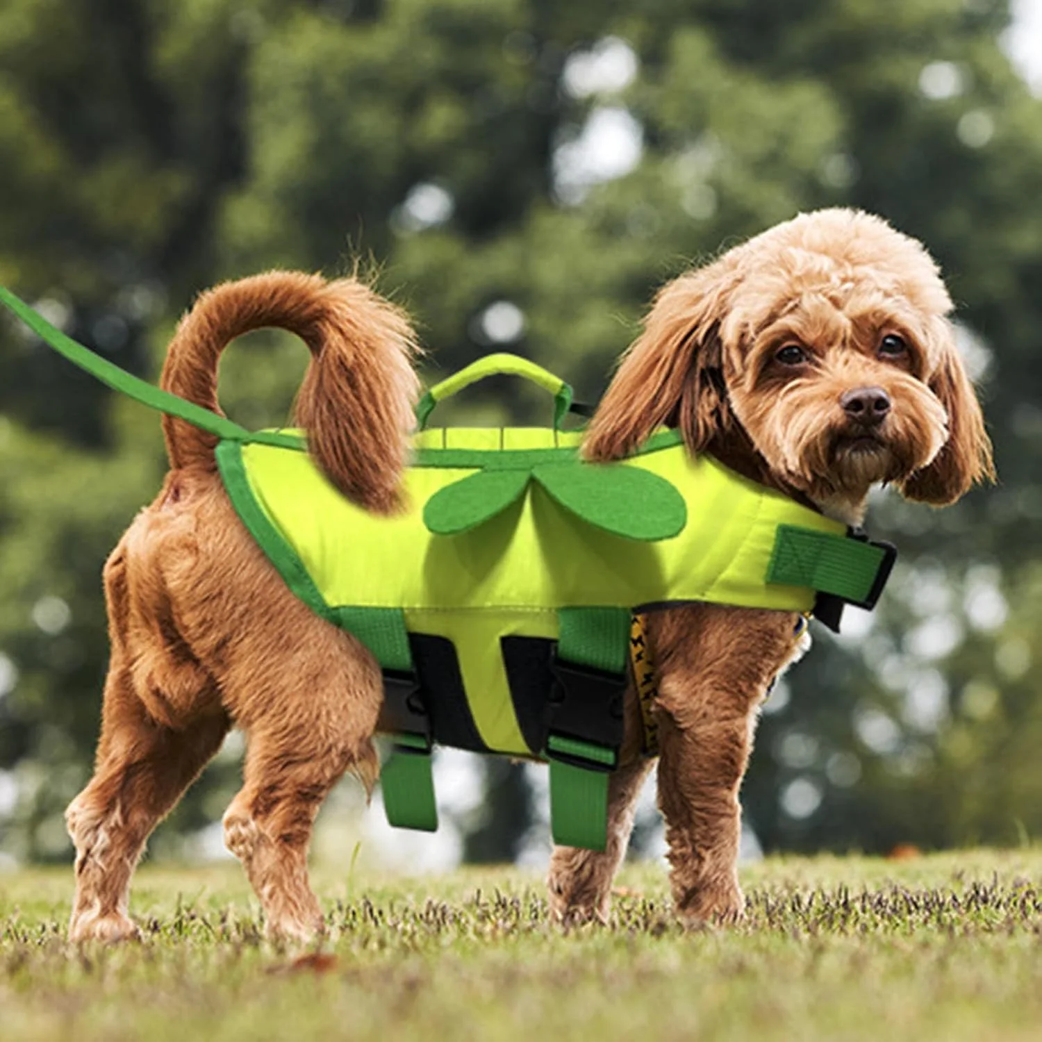 جلیقه نجات سگ برای شنا | کت شناور تنفسی، جلیقه نجات سگ - لباس شنای شیک و قابل تنظیم، محافظ حیوانات خانگی برای استخر، ساحل، قایق سواری