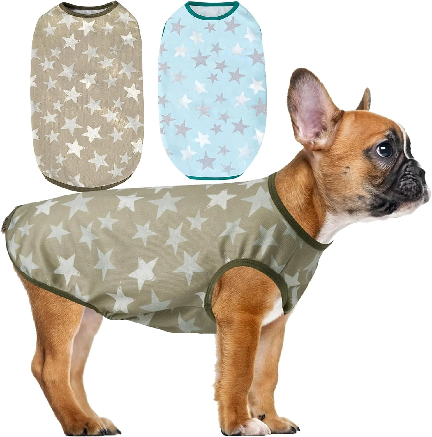 تی‌شرت خنک‌کننده سگ، سبک و تنفس‌پذیر، تی‌شرت ضدآفتاب خشک‌شونده سریع، جلیقه تابستانی حرفه‌ای حیوانات خانگی برای سگ‌های کوچک، متوسط و بزرگ دخترانه و پسرانه