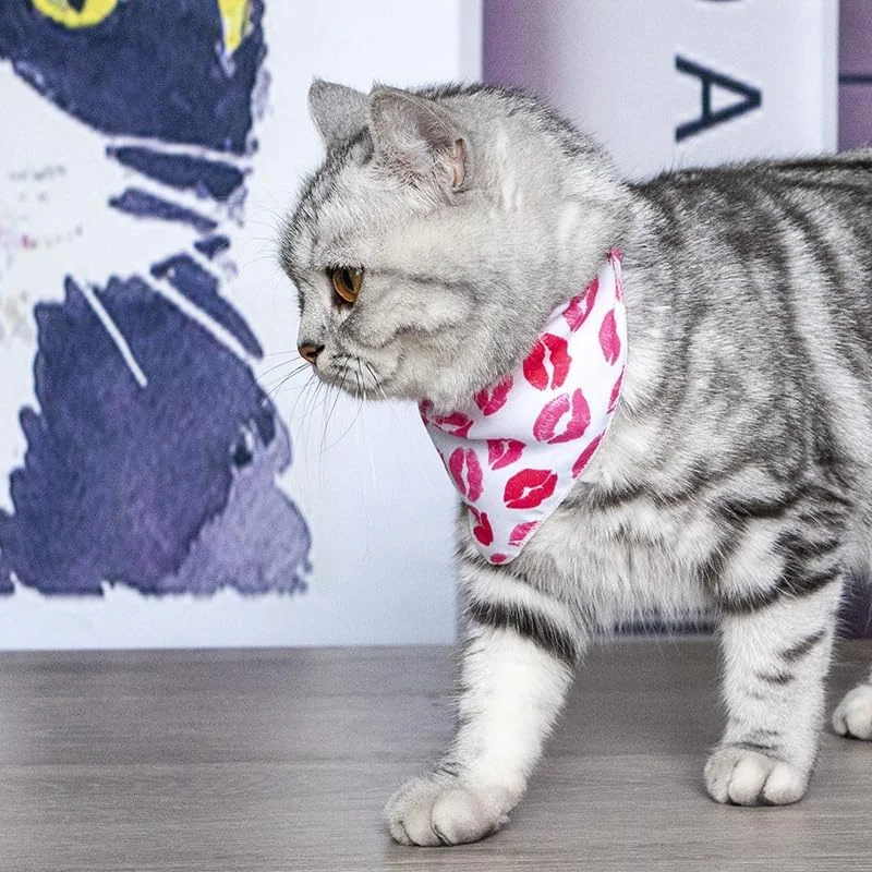 دستمال گردن سگ، 1 عدد، پلی‌استر سبک و زود خشک‌شونده، روسری مثلثی با طرح زیبا، دستمال سر قابل تنظیم برای سگ‌های متوسط و بزرگ، هدیه توله سگ، M, A16