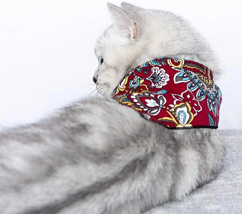 دستمال گردن سگ Nvzi-b، 1 عدد، ترکیبی از پلی استر سبک و زود خشک شونده، روسری مثلثی با طرح زیبا، دستمال سر قابل تنظیم برای سگ های متوسط و بزرگ، هدیه حیوانات خانگی، S، A15 دستمال گردن سگ Nvzi-b، 1 عدد، ترکیبی از پلی استر سبک و زود خشک شونده، روسری مثلثی با طرح زیبا، دستمال سر قابل تنظیم برای سگ های متوسط و بزرگ، هدیه حیوانات خانگی، S، A15