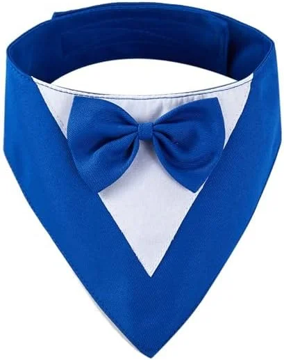 دستمال گردن سگ 1 عددی، پلی‌استر سبک و زود خشک‌شونده، روسری مثلثی با طرح زیبا، دستمال سر قابل تنظیم برای سگ‌های متوسط و بزرگ، توله‌ها، هدیه حیوانات خانگی، سایز S، آبی