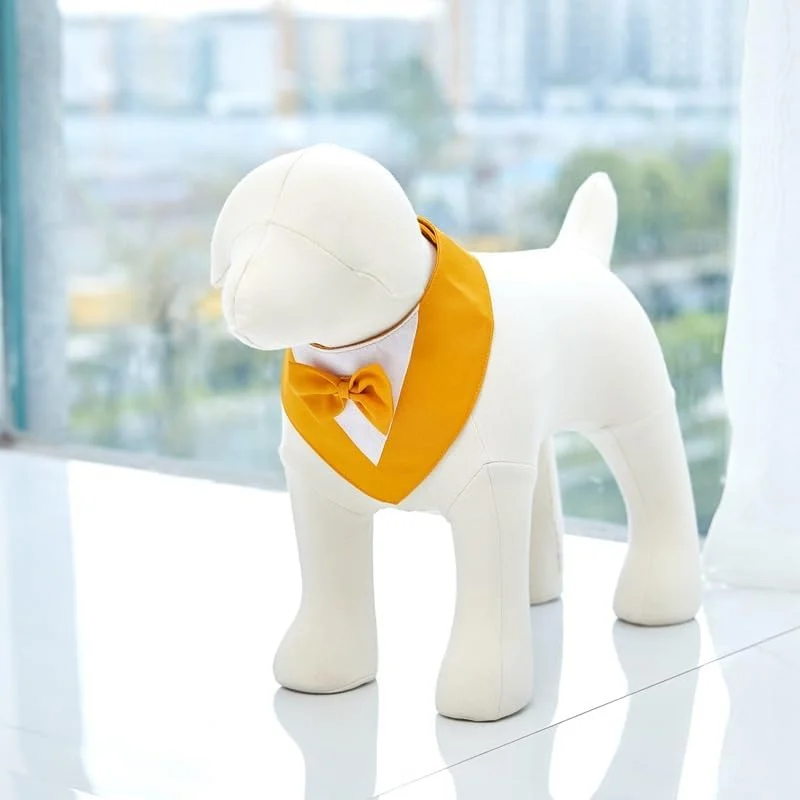 دستمال گردن سگ 1 عدد، پلیاستر سبک و زود خشکشونده، روسری مثلثی با طرح زیبا، دستمال سر قابل تنظیم برای سگهای متوسط و بزرگ، تولهسگها، هدیه حیوانات خانگی، XS، نارنجی دستمال گردن سگ 1 عدد، پلیاستر سبک و زود خشکشونده، روسری مثلثی با طرح زیبا، دستمال سر قابل تنظیم برای سگهای متوسط و بزرگ، تولهسگها، هدیه حیوانات خانگی، XS، نارنجی