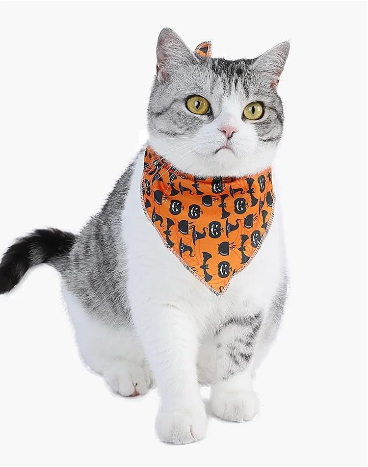 دستمال گردن سگ Nvzi-b، 1 عدد، ترکیبی از پلیاستر سبک و زود خشکشونده، پیشبند و روسری مثلثی با طرح زیبا، دستمال سر قابل تنظیم برای سگهای بزرگ و متوسط، هدیه برای تولهسگها، 65 سانتیمتر دستمال گردن سگ Nvzi-b، 1 عدد، ترکیبی از پلیاستر سبک و زود خشکشونده، پیشبند و روسری مثلثی با طرح زیبا، دستمال سر قابل تنظیم برای سگهای بزرگ و متوسط، هدیه برای تولهسگها، 65 سانتیمتر