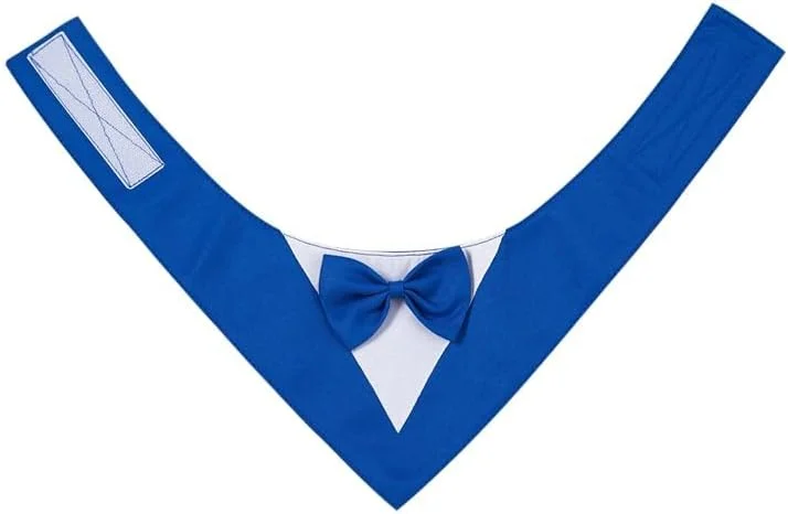 دستمال گردن سگ 1 عددی، پلیاستر سبک و زود خشکشونده، روسری مثلثی با طرح زیبا، دستمال سر قابل تنظیم برای سگهای متوسط و بزرگ، تولهها، هدیه حیوانات خانگی، سایز S، آبی دستمال گردن سگ 1 عددی، پلیاستر سبک و زود خشکشونده، روسری مثلثی با طرح زیبا، دستمال سر قابل تنظیم برای سگهای متوسط و بزرگ، تولهها، هدیه حیوانات خانگی، سایز S، آبی