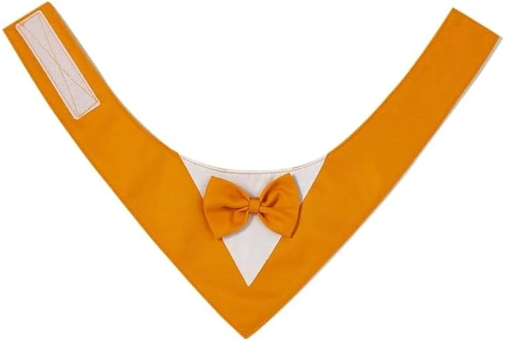 دستمال گردن سگ Nvzi-b، 1 عدد، ترکیب پلی استر سبک و زود خشک شونده، روسری سه گوش با طرح زیبا، دستمال سر قابل تنظیم برای سگ های متوسط و بزرگ، هدیه حیوانات خانگی، XS، نارنجی دستمال گردن سگ Nvzi-b، 1 عدد، ترکیب پلی استر سبک و زود خشک شونده، روسری سه گوش با طرح زیبا، دستمال سر قابل تنظیم برای سگ های متوسط و بزرگ، هدیه حیوانات خانگی، XS، نارنجی