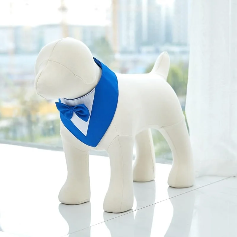 دستمال گردن سگ 1 عددی، پلیاستر سبک و زود خشکشونده، روسری مثلثی با طرح زیبا، دستمال سر قابل تنظیم برای سگهای متوسط و بزرگ، تولهها، هدیه حیوانات خانگی، سایز S، آبی دستمال گردن سگ 1 عددی، پلیاستر سبک و زود خشکشونده، روسری مثلثی با طرح زیبا، دستمال سر قابل تنظیم برای سگهای متوسط و بزرگ، تولهها، هدیه حیوانات خانگی، سایز S، آبی