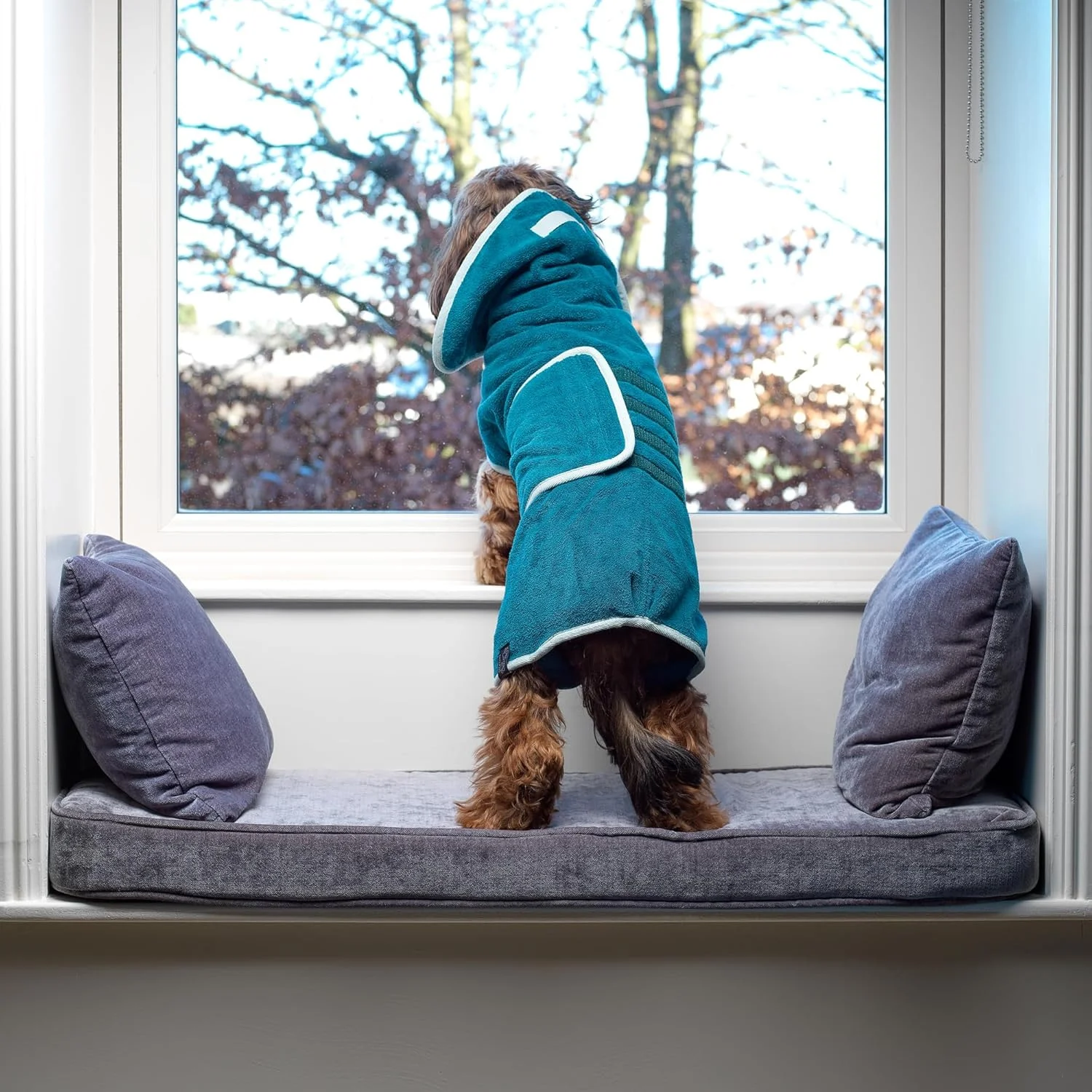 روپوش حمام سگ Lucky Paws® - روپوش حمام دولایه سگ - خشک‌شونده سریع، جاذب و نرم، رنگ آبی‌سبز، سایز L