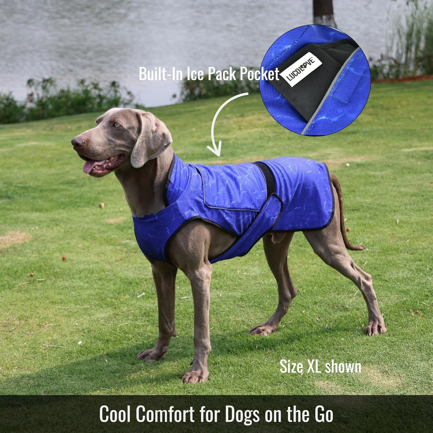 جلیقه خنک کننده سگ LUCOLOVE با بسته یخ - ژاکت خنک کننده تبخیری 2 لایه با یقه بلند، محافظت در برابر اشعه ماوراء بنفش و بسته یخ متناسب با اندازه - جلیقه خنک کننده برای سگ ها برای هوای گرم (آبی فیروزه ای، کوچک)