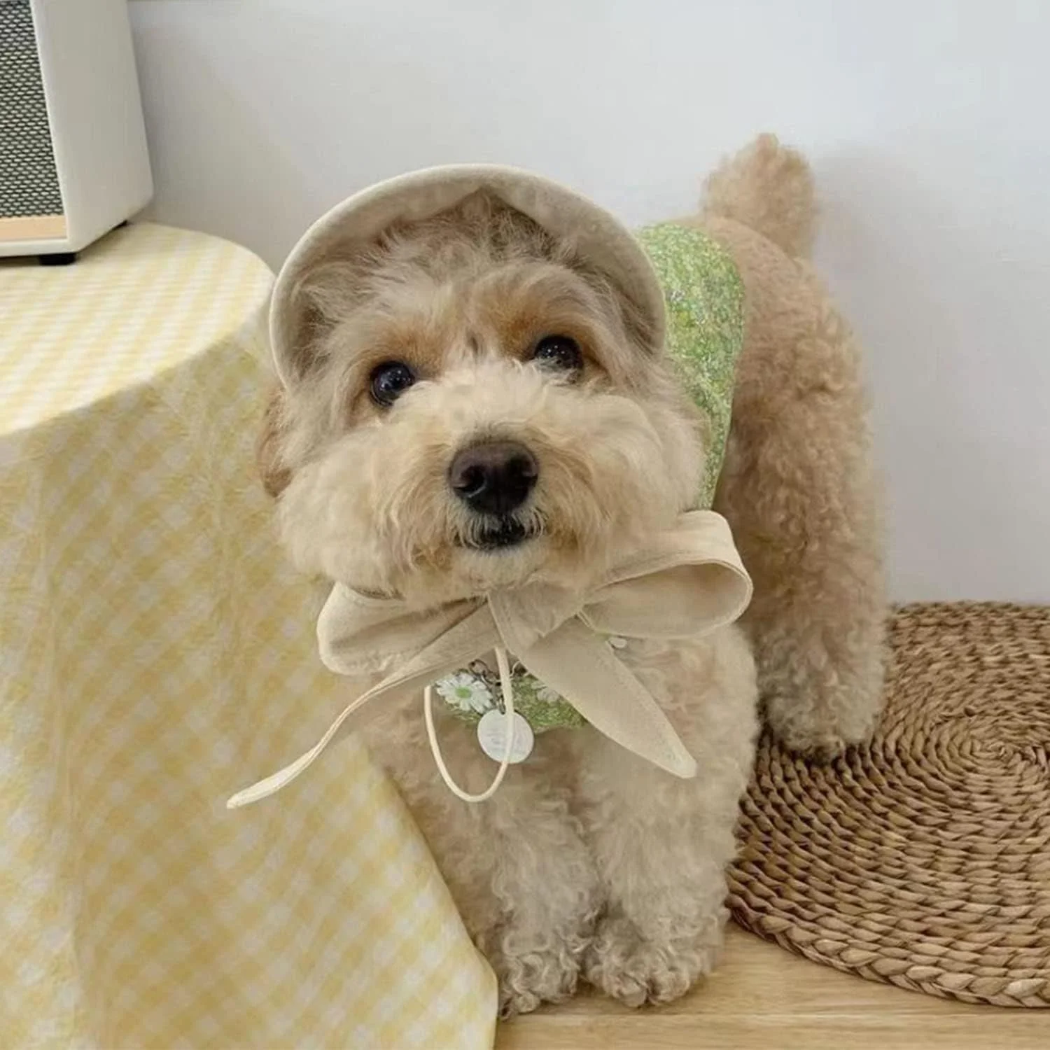 کلاه حصیری دست ساز سگ MuYaoPet، کلاه آفتابگیر سگ، کلاه لبه دار قابل تنظیم برای مهمانی ساحلی سگ های کوچک و متوسط مانند یورکی، چیواوا، بولداگ، کورگی (کوچک، بژ)