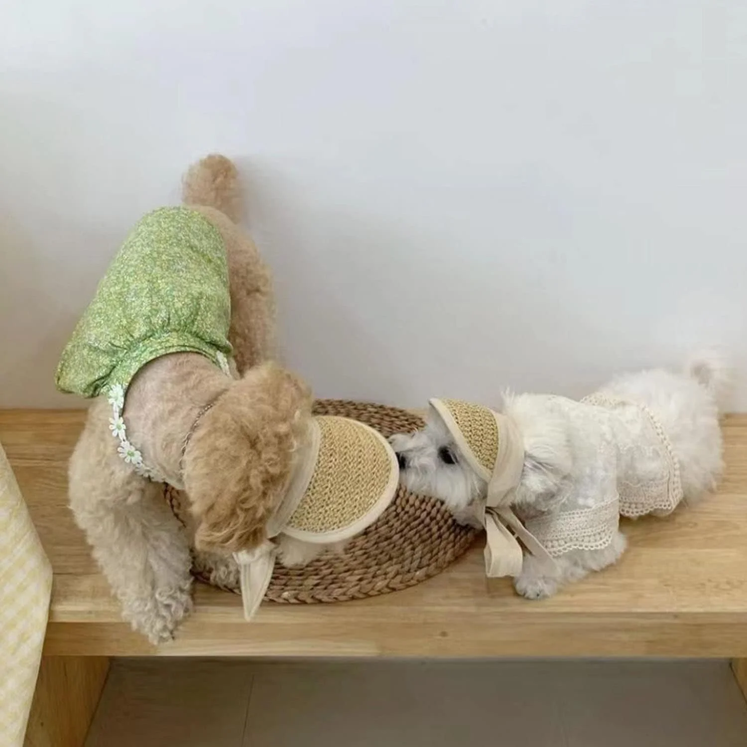 کلاه حصیری دست ساز سگ MuYaoPet، کلاه آفتابگیر سگ، کلاه لبه دار قابل تنظیم برای مهمانی ساحلی سگ های کوچک و متوسط مانند یورکی، چیواوا، بولداگ، کورگی (کوچک، بژ)