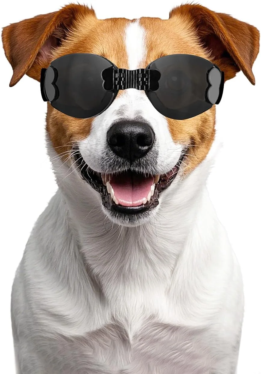عینک محافظ سگ نژاد متوسط، محافظت در برابر اشعه ماوراء بنفش، پل بینی قابل تنظیم، ضد مه برای سگ های کوچک تا متوسط، محافظت از چشم سگ در فضای باز، ضد باد و ضد گرد و غبار، مشکی عینک محافظ سگ نژاد متوسط، محافظت در برابر اشعه ماوراء بنفش، پل بینی قابل تنظیم، ضد مه برای سگ های کوچک تا متوسط، محافظت از چشم سگ در فضای باز، ضد باد و ضد گرد و غبار، مشکی