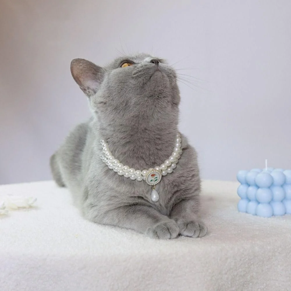 گردنبند مروارید مصنوعی سگ و گربه، گردنبند قابل تنظیم، زیورآلات نفیس حیوانات خانگی، آویز تزئینی زیبا (XS-رز سیاه)