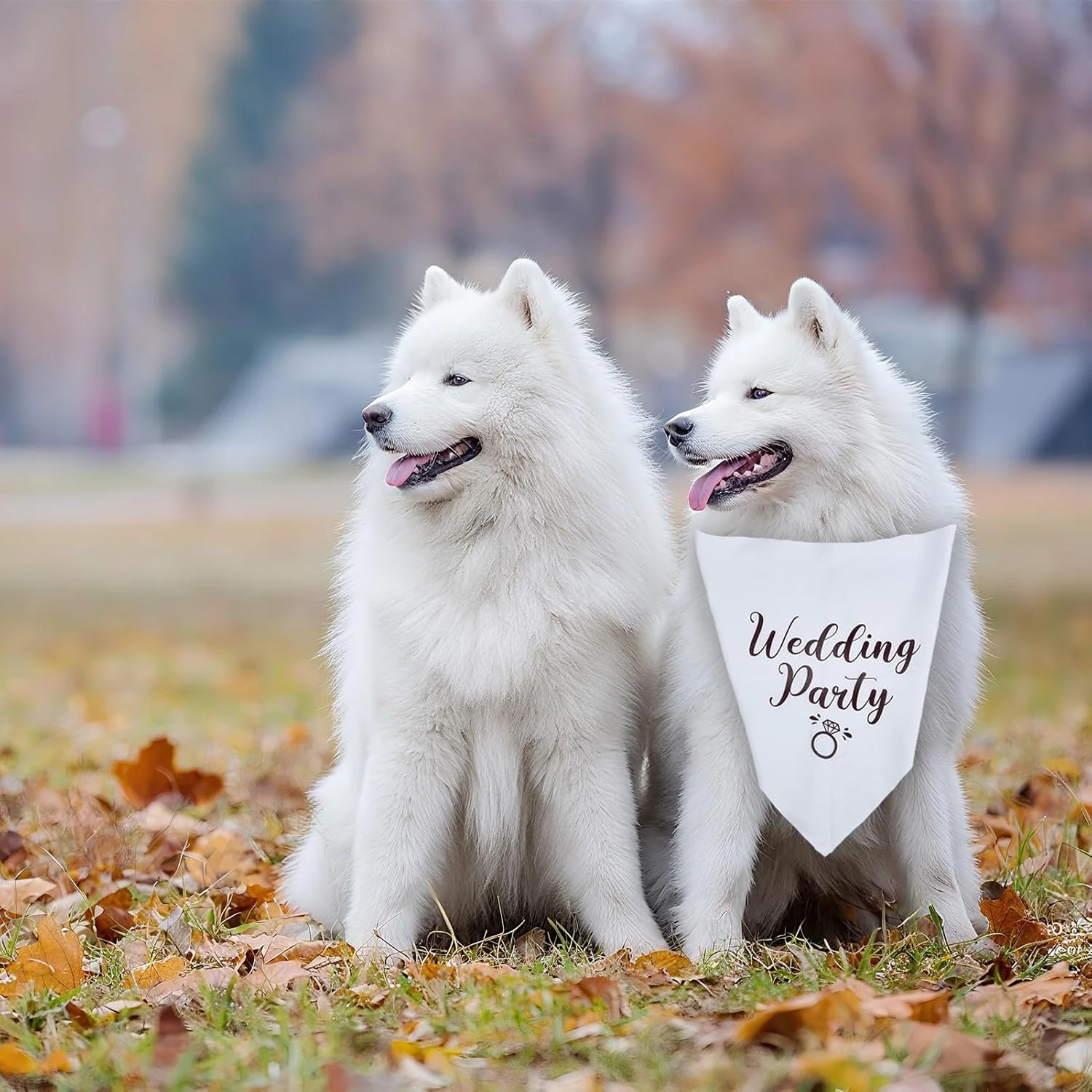 NICENEEEDED بسته 2 عددی دستمال گردن سگ برای جشن نامزدی، دستمال سر سگ با نوشته "دارند ازدواج می‌کنند"، شال حیوانات خانگی برای مهمانی عروسی، پیشبند مثلثی قابل تنظیم برای عکس عروسی