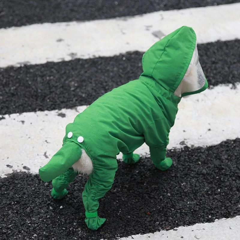 ست بارانی و کفش باران سگ Nvzi-b، بارانی سگ همراه با ست چکمه بارانی برای سگ های کوچک و متوسط، سبز، L