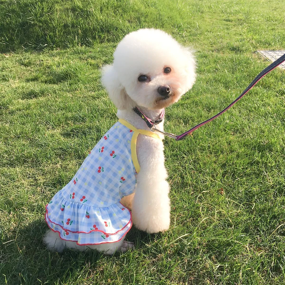 لباس سگ توله سگ شیرین Nvzi-b، دامن سگ گربه پرنسس زیبا برای سگ های دختر کوچک (A164,M)