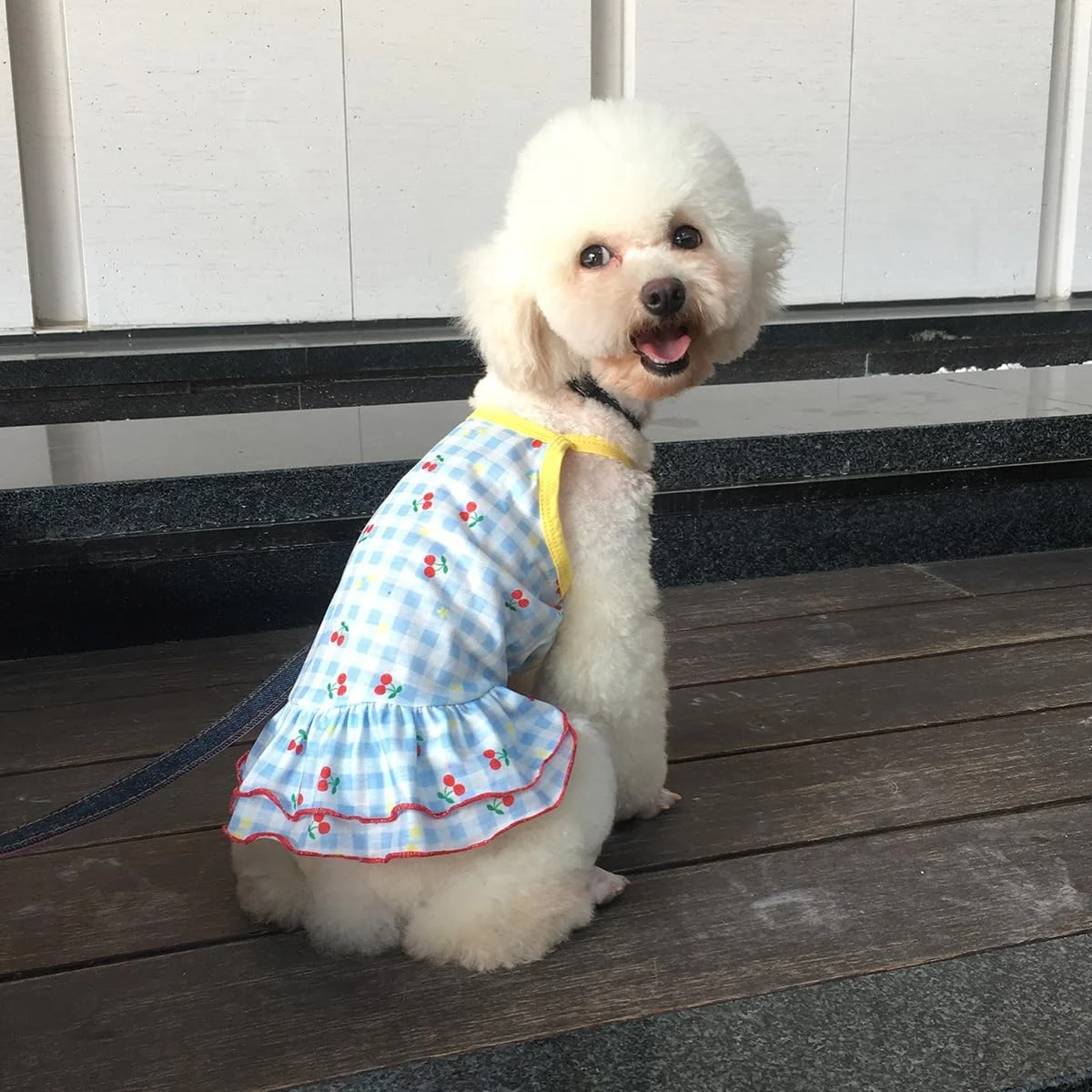 لباس سگ توله سگ شیرین Nvzi-b، دامن سگ گربه پرنسس زیبا برای سگ های دختر کوچک (A164,M)