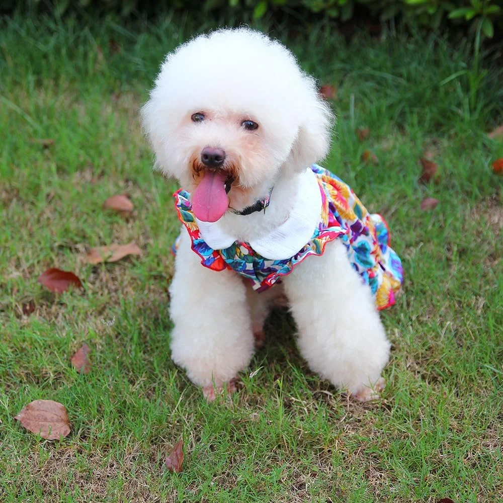 لباس سگ توله سگ شیرین Nvzi-b، دامن سگ گربه پرنسس زیبا برای سگ های دخترانه کوچک (A162, S)