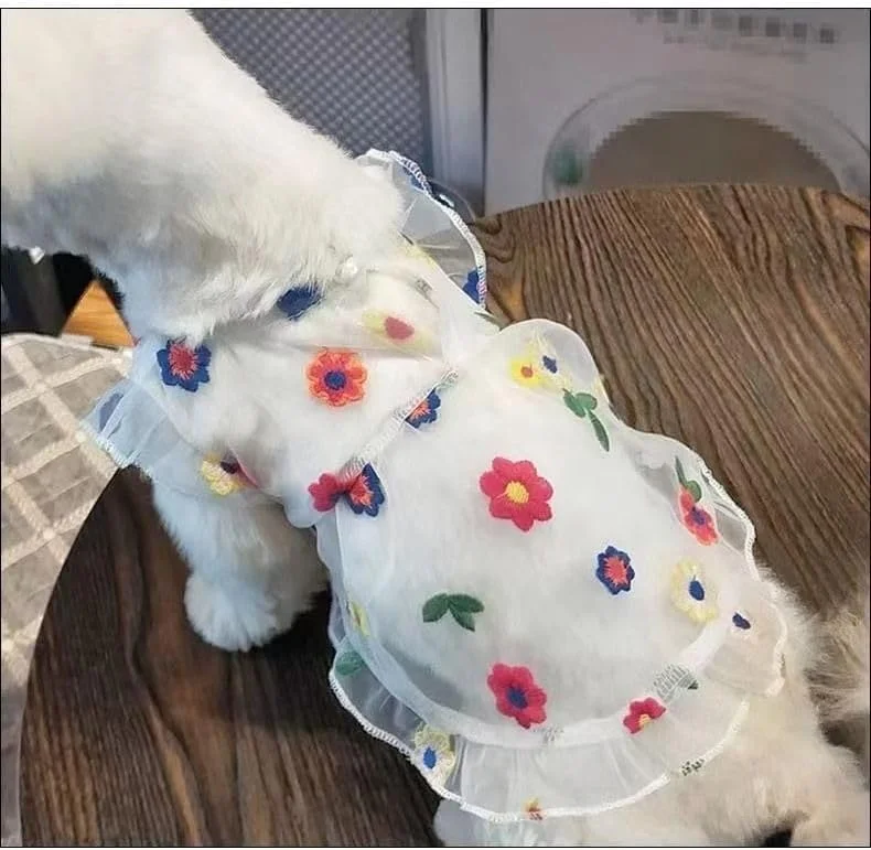 لباس سگ توله سگ شیرین، دامن سگ گربه پرنسس زیبا برای سگ های دختر کوچک (A122,M)