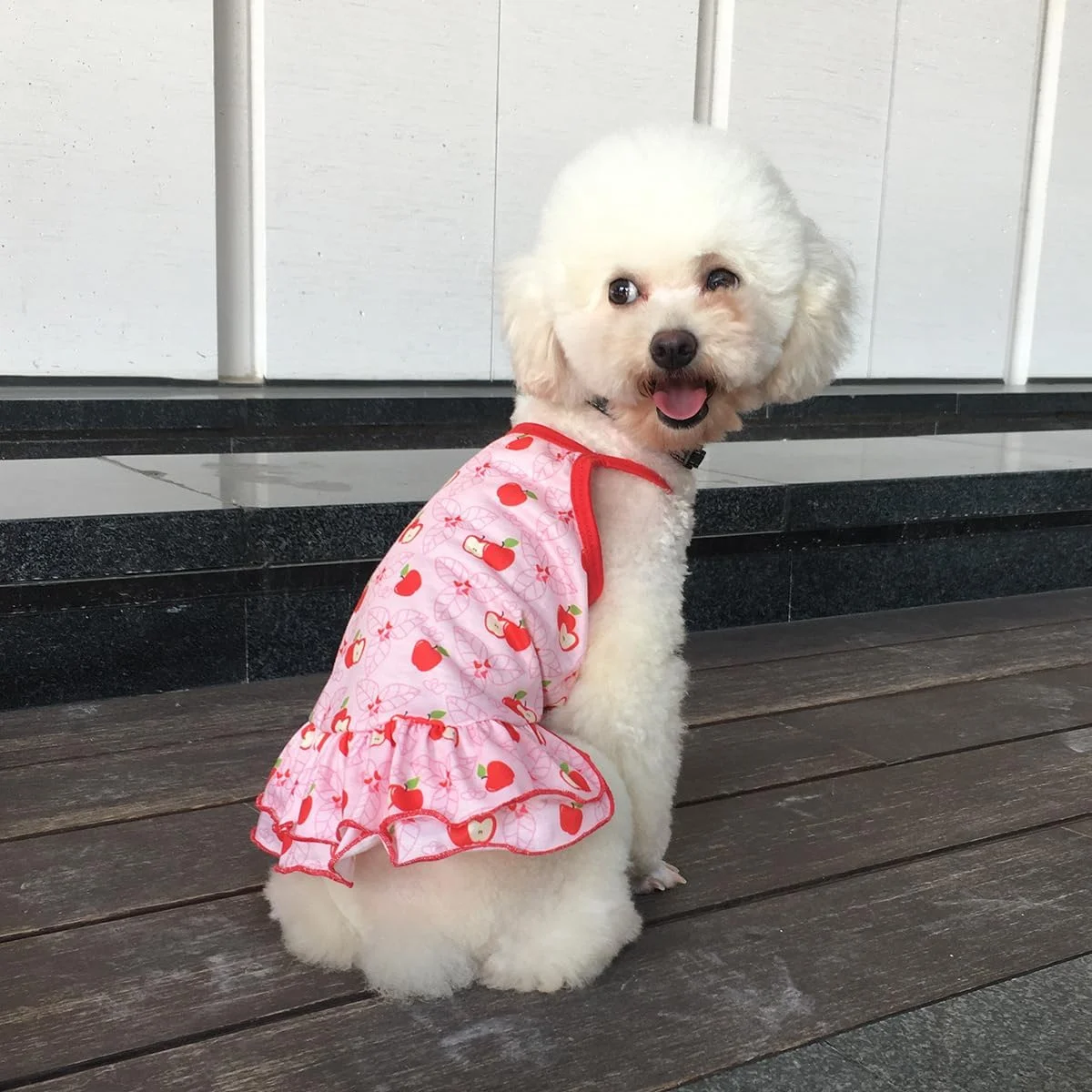 لباس سگ توله سگ شیرین، دامن سگ گربه پرنسس زیبا برای سگ های دخترانه کوچک (A165, M)