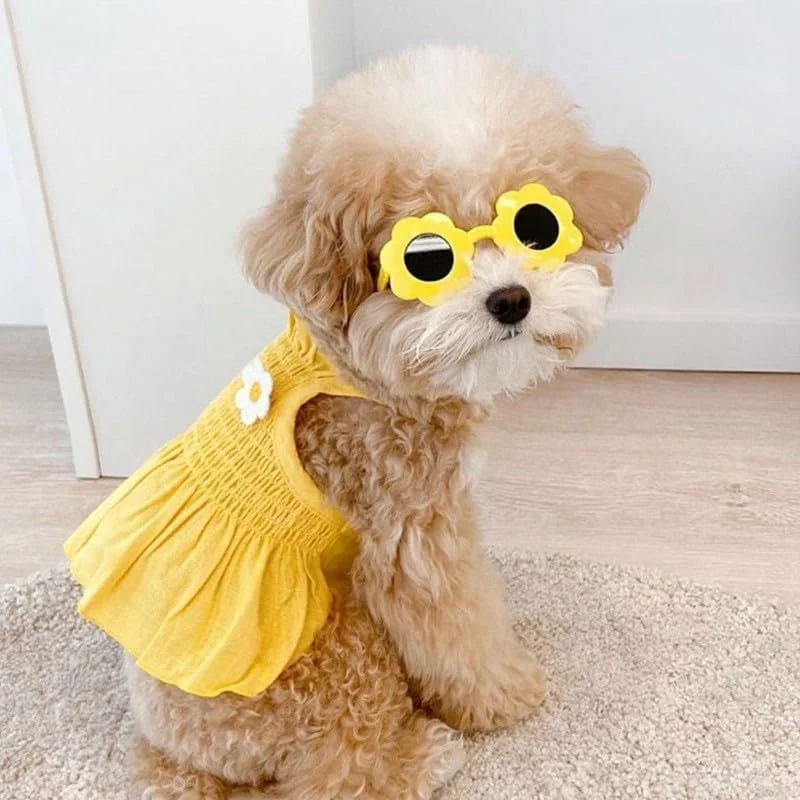 لباس سگ توله سگ شیرین، دامن سگ گربه پرنسس زیبا برای سگ های کوچک دخترانه (A68, XS)