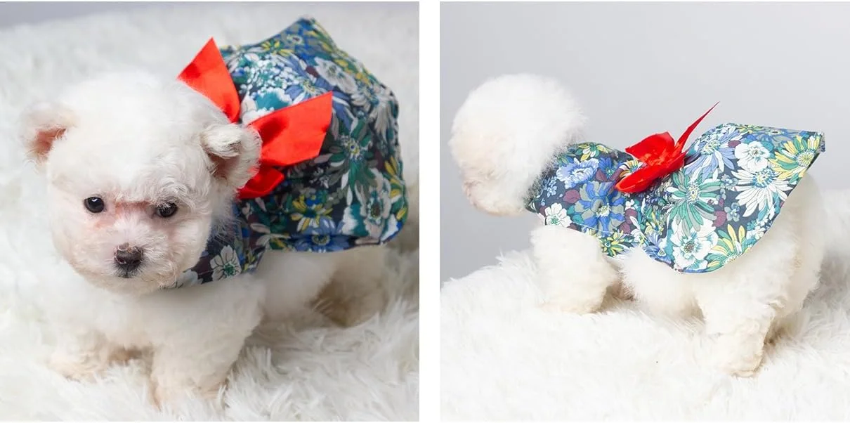 لباس سگ توله سگ شیرین Nvzi-b، دامن سگ گربه پرنسس زیبا برای سگ های دخترانه کوچک (A155, L)