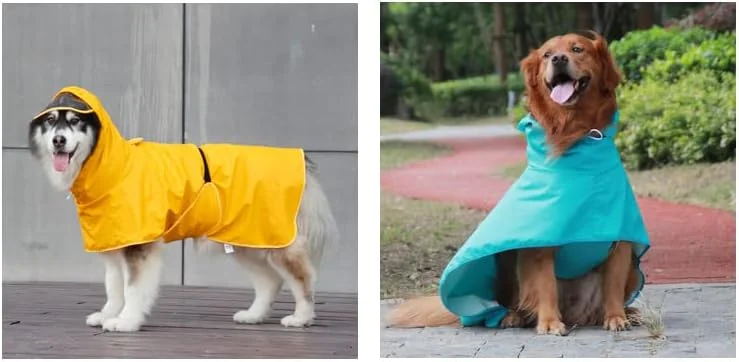 بارانی ضد آب سگ، لباس بارانی سبک وزن حیوانات خانگی با کلاه پانچو (XL، سبز)