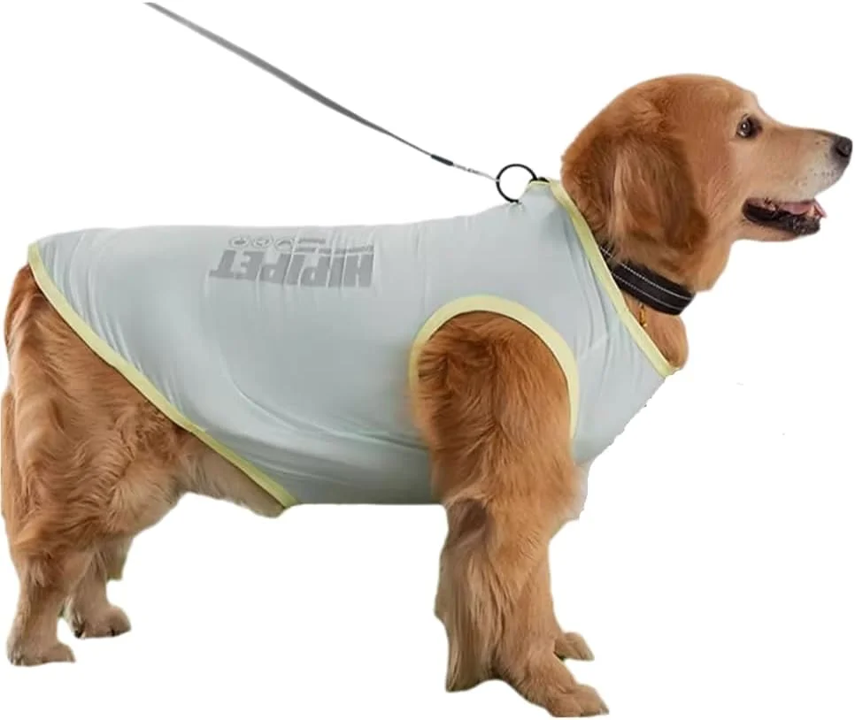 جلیقه خنک کننده فوق العاده نازک برای سگ ها، سبک وزن، تنفس پذیر، کشسان، خنک کننده تابستانی با فناوری ابریشم یخی، پیراهن خنک، خشک شدن سریع، مناسب برای نژادهای کوچک/متوسط/مخلوط (آبی، 3XL) جلیقه خنک کننده فوق العاده نازک برای سگ ها، سبک وزن، تنفس پذیر، کشسان، خنک کننده تابستانی با فناوری ابریشم یخی، پیراهن خنک، خشک شدن سریع، مناسب برای نژادهای کوچک/متوسط/مخلوط (آبی، 3XL)