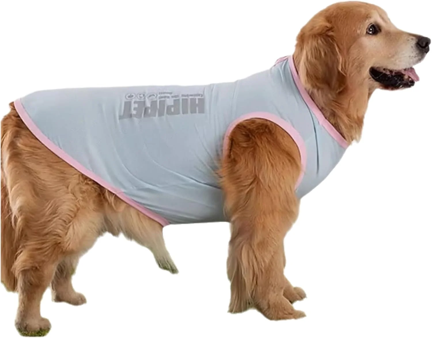 جلیقه خنک کننده فوق العاده نازک برای سگ ها، سبک وزن، تنفس پذیر، کشسان، خنک کننده تابستانی با فناوری ابریشم یخی، پیراهن خنک، خشک شدن سریع، مناسب برای سگ های کوچک/متوسط/بزرگ، صورتی سایز 3XL جلیقه خنک کننده فوق العاده نازک برای سگ ها، سبک وزن، تنفس پذیر، کشسان، خنک کننده تابستانی با فناوری ابریشم یخی، پیراهن خنک، خشک شدن سریع، مناسب برای سگ های کوچک/متوسط/بزرگ، صورتی سایز 3XL