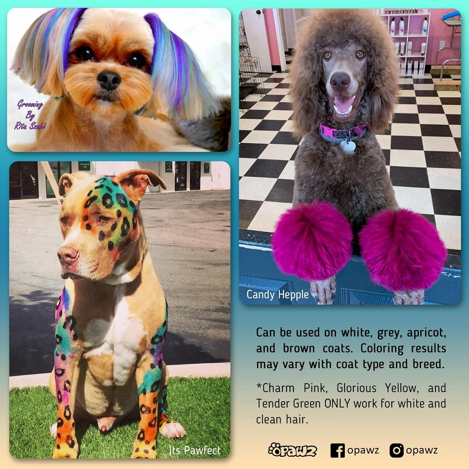 رنگ موی دائمی سگ OPAWZ، رنگ موی حیوانات خانگی که به طور ایمن توسط آرایشگاه ها برای یک دهه استفاده می شود، رنگ ایمن برای حیوانات خانگی بیش از 20 بار شستشو دوام می آورد، رنگ روشن برای سگ ها و اسب ها (آبی معصوم) رنگ موی دائمی سگ OPAWZ، رنگ موی حیوانات خانگی که به طور ایمن توسط آرایشگاه ها برای یک دهه استفاده می شود، رنگ ایمن برای حیوانات خانگی بیش از 20 بار شستشو دوام می آورد، رنگ روشن برای سگ ها و اسب ها (آبی معصوم)