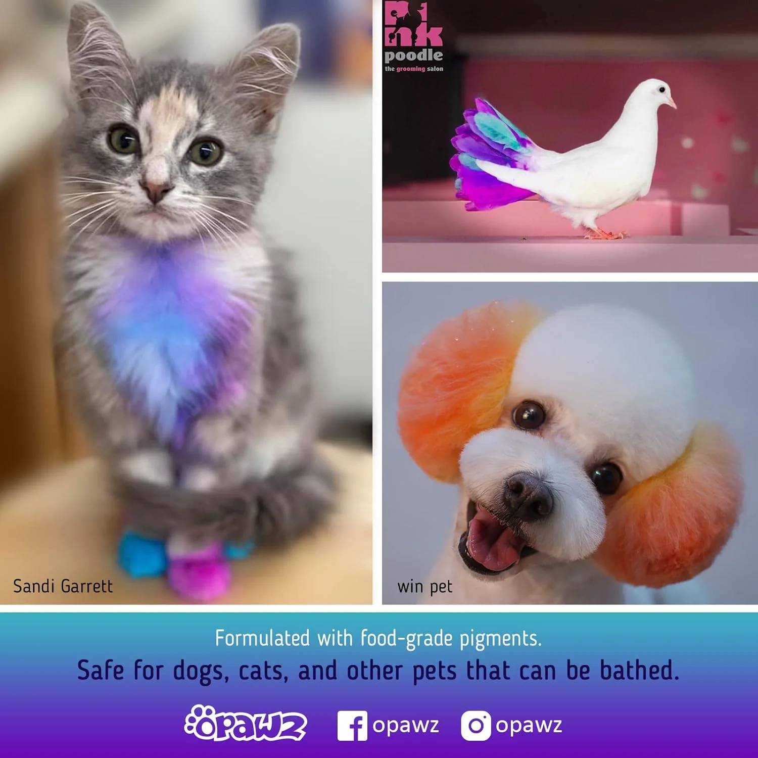 رنگ موی نیمه دائمی سگ OPAWZ، رنگ سگ با رنگدانه خوراکی، رنگ موی غیر سمی حیوانات خانگی برای سگ ها، گربه ها و همه حیوانات خانگی قابل شستشو (زرد فلش) رنگ موی نیمه دائمی سگ OPAWZ، رنگ سگ با رنگدانه خوراکی، رنگ موی غیر سمی حیوانات خانگی برای سگ ها، گربه ها و همه حیوانات خانگی قابل شستشو (زرد فلش)